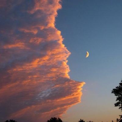 乐享8214CC官方下载