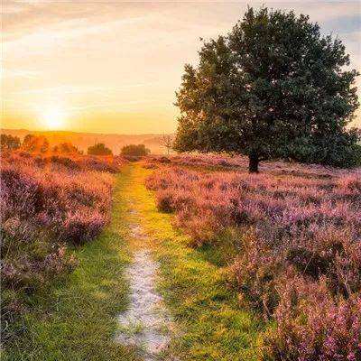 斗牛游戏大厅下载手机版