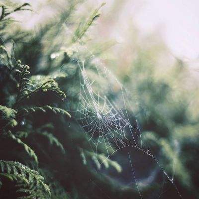 百姓彩票手机app下载